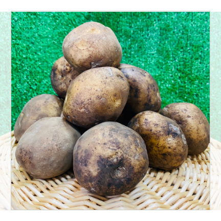 Hokkaido Danshaku potato 10kg
