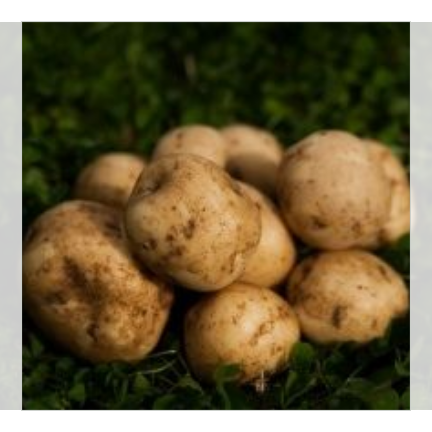 Hokkaido Danshaku potato 10kg