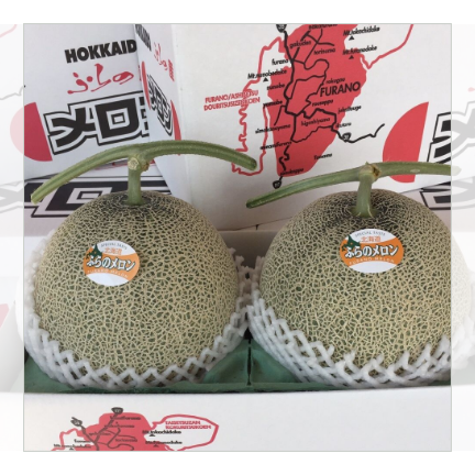 【今期終売】ふらのメロン 2玉入り (2kg×2玉) 化粧箱入