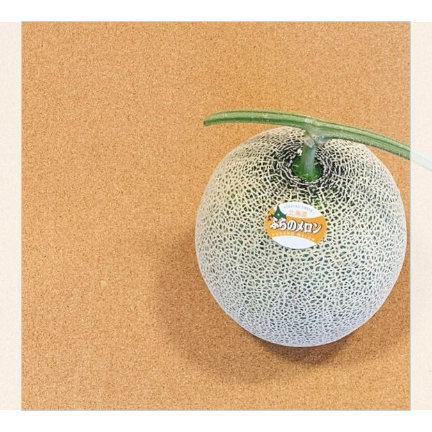 ふらのメロン 1玉入り (1.6kg) 化粧箱入