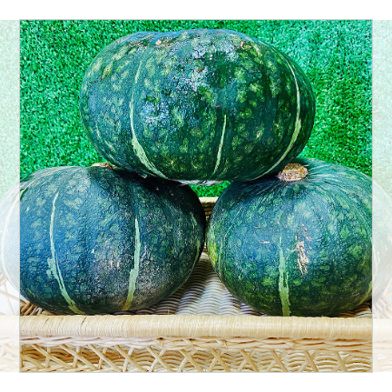 Chestnut pumpkin 10kg (5-6 pieces)