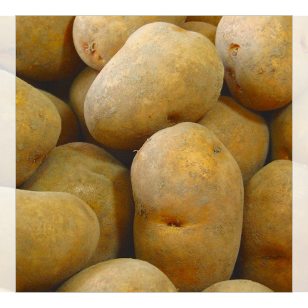 Furano Inca no Awakening 5kg