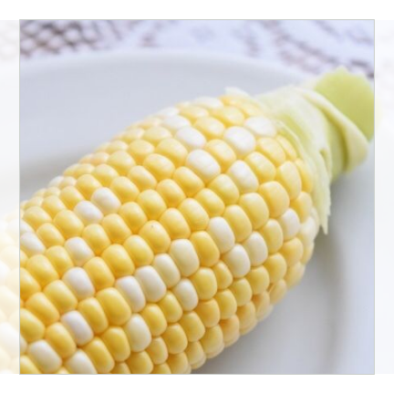 【今期終売】富良野産 ゆめのコーン10本(バイカラー)