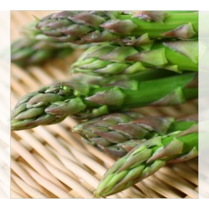 【今期終売】富良野産 グリーンアスパラ2kg 箱入り