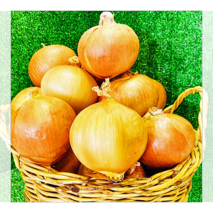 北海道産 玉ねぎ10kg