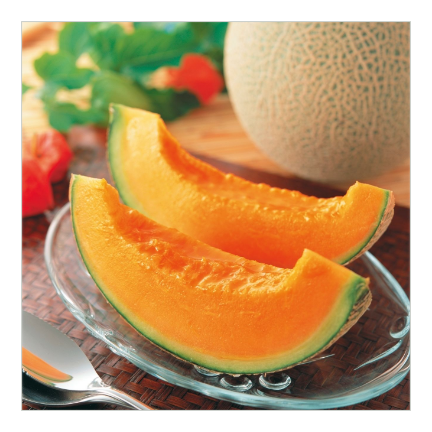 【今期終売】ふらのメロン 5玉入り (1.6kg×5玉)