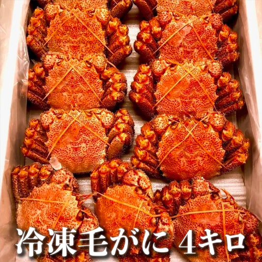 【大容量】北海道鄂霍次克產速凍毛蟹13只